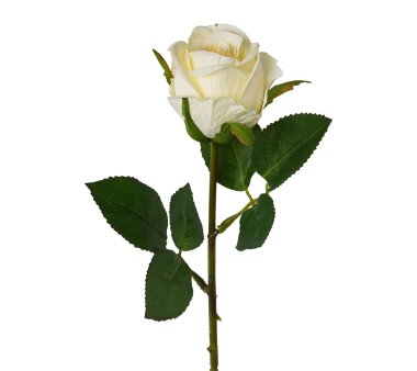 Kunstblume Rose, 8er Set, Farbe creme, Höhe ca. 45 cm