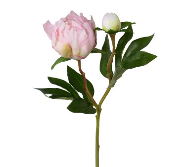 Kunstblume Peonie, 5er Set, Farbe rosa, Höhe ca. 46 cm