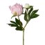 Kunstblume Peonie, 5er Set, Farbe rosa, Höhe ca. 46 cm