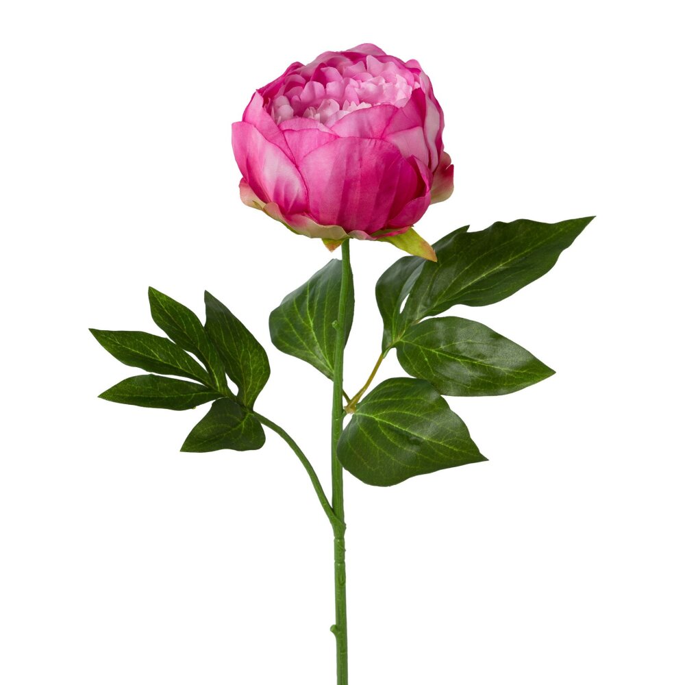 Kunstblume Peonie cerise, 4er, 58 cm | Wohnfuehlidee