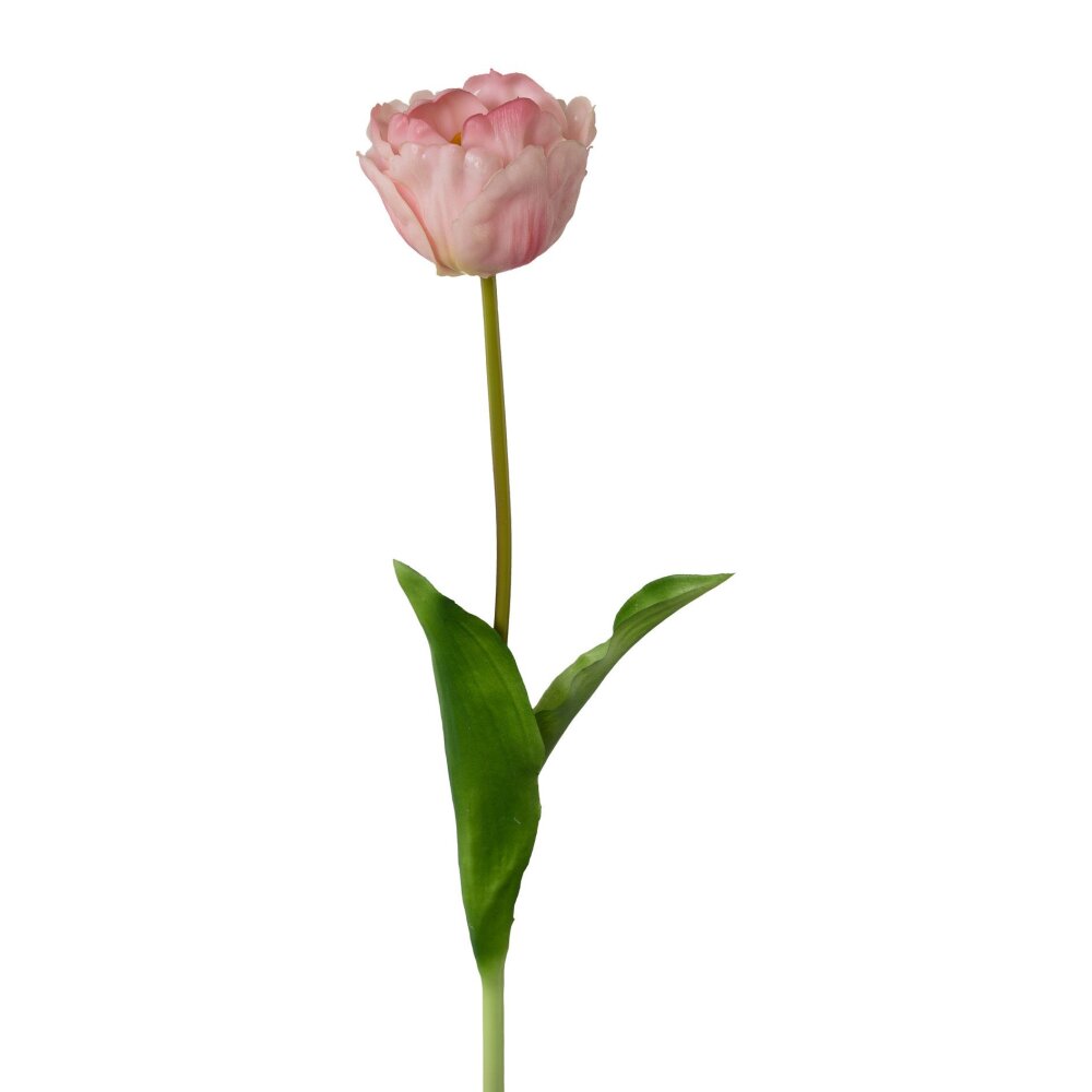 [Favorit] Kunstblume Tulpe gefüllt 58 cm rosa, 2er, | Höhe kaufen