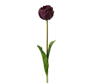 Kunstblume Tulpe gefüllt, 2er Set, Farbe purple,...