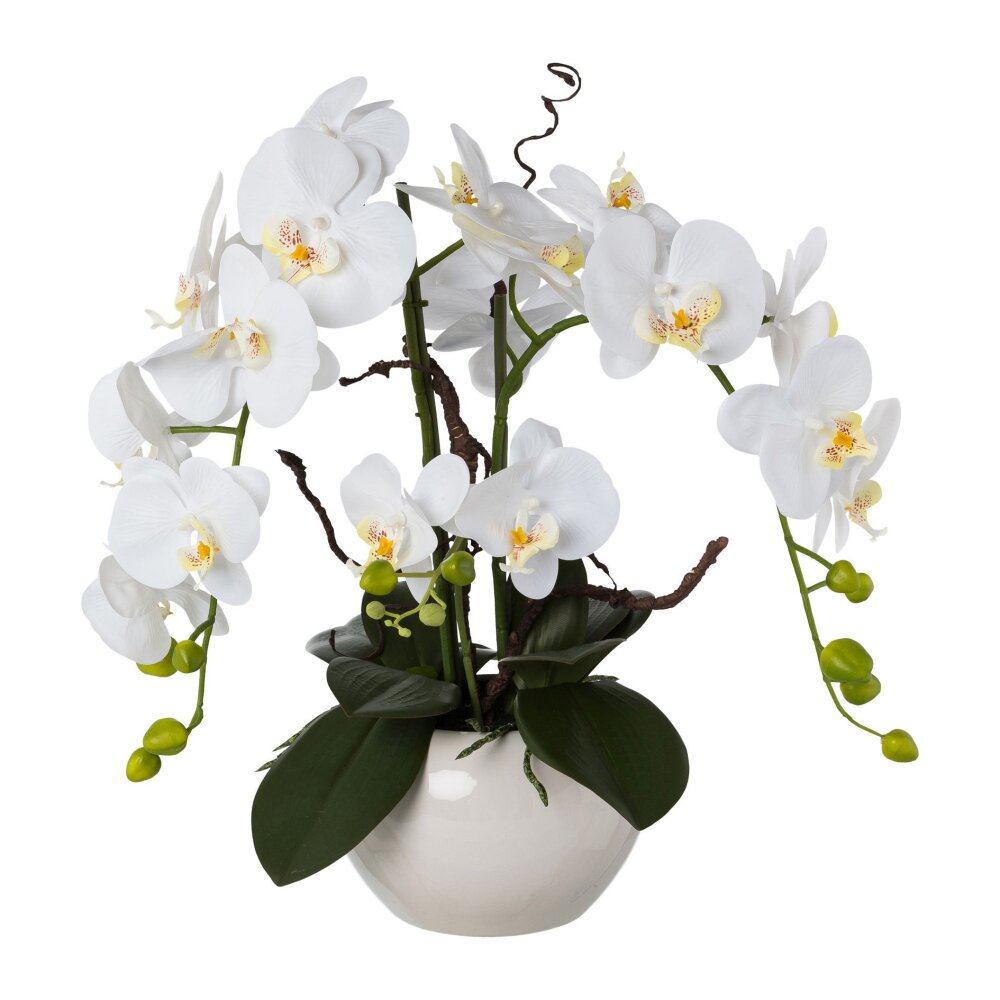 55 cm bei Kunstpflanze weiß, | Orchidee