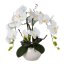 Kunstpflanze Orchideen-Arrangement, Farbe weiß, inkl. Schale, Höhe 55 cm