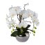 Kunstpflanze Orchideen-Arrangement, Farbe weiß, inkl. silberfarbenem Topf, Höhe 55 cm