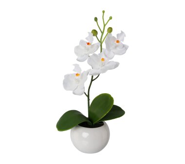 Kunstpflanze Begonie weiß, 3er, 24 cm | Wohnfuehlidee