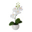 Kunstpflanze Phalenopsis (Orchidee) 4er Set, Farbe weiß, mit Keramik-Topf, Höhe ca. 21 cm