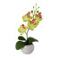 Kunstpflanze Phalenopsis (Orchidee) 4er Set, Farbe grün, mit Keramik-Topf, Höhe ca. 21 cm
