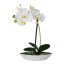 Kunstpflanze Phalenopsis (Orchidee) 2er Set, Farbe weiß, inkl. ovaler Schale, Höhe ca. 30 cm