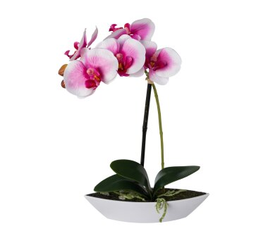 Kunstpflanze Phalenopsis (Orchidee) 2er Set, Farbe...