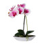 Kunstpflanze Phalenopsis (Orchidee) 2er Set, Farbe weiß-lila, inkl. ovaler Schale, Höhe ca. 30 cm