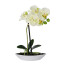 Kunstpflanze Phalenopsis (Orchidee) 2er Set, Farbe grün, inkl. ovaler Schale, Höhe ca. 30 cm