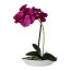 Kunstpflanze Phalenopsis (Orchidee) 2er Set, Farbe purple, inkl. ovaler Schale, Höhe ca. 30 cm