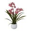 Kunstpflanze Gambia-Orchidee, Farbe dunkelrosa, inkl. Keramik-Topf, Höhe 50 cm