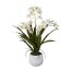 Kunstpflanze Gambia-Orchidee, Farbe weiß, inkl. Keramik-Topf, Höhe 50 cm