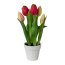 Kunstpflanze Tulpen mit 5 Blüten, Farbe pink, im Keramik-Topf, Höhe ca. 25 cm