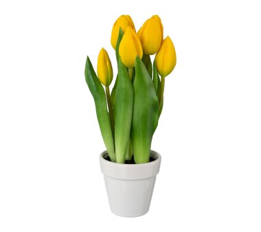 Kunstpflanze Tulpen mit 5 Blüten, Farbe gelb, im...