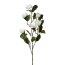 Kunstpflanze Magnolienzweig, Farbe weiß, Höhe ca. 120 cm