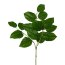 Kunstpflanze Salalzweig, 4er Set, Farbe grün, Höhe ca. 80 cm