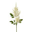 Kunstpflanze Astilbenzweig, 2er Set, Farbe weiß, Höhe ca. 84 cm