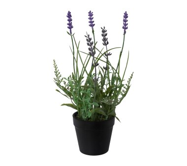 Kunstpflanze Lavendel, 3er Set, Farbe lila, im Topf,...