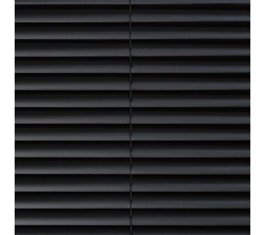 LIEDECO Jalousie aus PVC  060 x 160 cm  Fb. schwarz