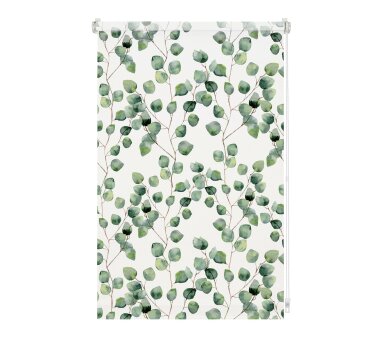 GARDINIA EASYFIX Dekor-Rollo ISABELLA, Digitaldruck, lichtdurchlässig, Farbe weiß / grün BxH 60x150 cm