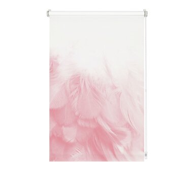 GARDINIA EASYFIX Dekor-Rollo FEDERBOA, Digitaldruck, lichtdurchlässig, Farbe rosa BxH 60x150 cm