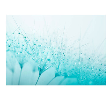Vlies Fototapete no. 39 | Turquoise Dandelion Blumen...
