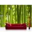 Vlies Fototapete no. 71 | Dream of Bamboo Bambus Tapete Wald Wood Forest Jungle Dschungel Garten Natur Baum Gras grün