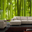 Vlies Fototapete no. 71 | Dream of Bamboo Bambus Tapete Wald Wood Forest Jungle Dschungel Garten Natur Baum Gras grün