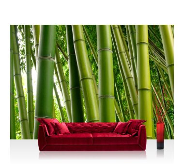 Vlies Fototapete no. 75 | Paradies of Bamboo Bambus Tapete Wald Bambuswald Dschungel Garten Natur Bäume grün