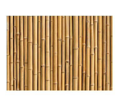 Vlies Fototapete no. 83 | Golden Bamboo Bambus Tapete gold gelb Wald Bambuswald Dschungel Garten Natur Bäume beige
