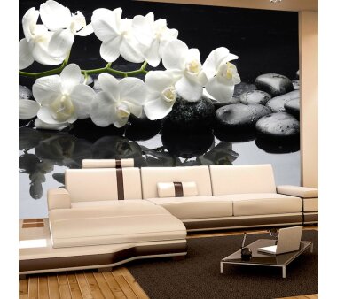 Vlies Fototapete no. 97 | White Orchids an Black Stones Ornamente Tapete Orchidee Blumen Blumenranke Rosa Natur schwarz