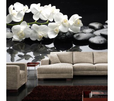 Vlies Fototapete no. 97 | White Orchids an Black Stones Ornamente Tapete Orchidee Blumen Blumenranke Rosa Natur schwarz