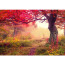 Vlies Fototapete no. 258 | Wald Tapete Wald Bäume Herbst Natur Sonne beige