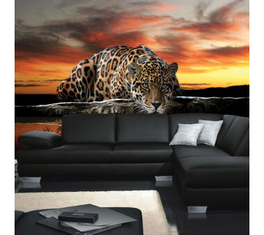Vlies Fototapete no. 315 | Tiere Tapete Jaguar Sonnenuntergang Tiere orange Wasser orange