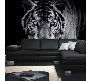 Vlies Fototapete no. 426 | Tiere Tapete Tiger Gesicht Auge blau schwarz-weiß blau