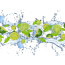 Vlies Fototapete no. 864 | Kulinarisches Tapete Limetten Wasser Blätter Tropfen Obst Frucht grün