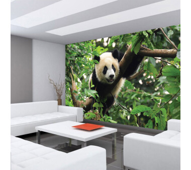 Vlies Fototapete no. 986 | Tiere Tapete Tier Panda Bär Baum Fell Kinderzimmer Zoo Dschungel grün