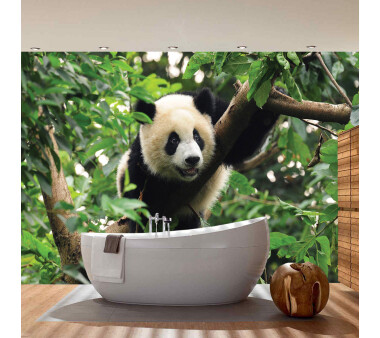 Vlies Fototapete no. 986 | Tiere Tapete Tier Panda Bär Baum Fell Kinderzimmer Zoo Dschungel grün