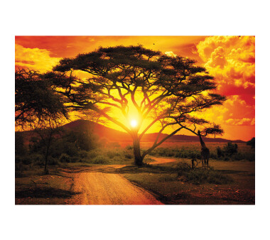 Vlies Fototapete no. 999 | Afrika Tapete Sonnenuntergang...