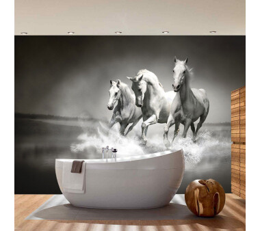 Vlies Fototapete no. 1015 | Tiere Tapete Pferd Wasser Schimmel Rennpferd schwarz - weiß