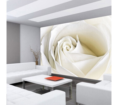 Vlies Fototapete no. 1099 | Blumen Tapete Rose Blumen Blüte weiß edel weiß