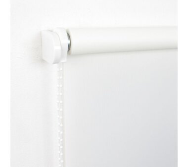 LIEDECO Seitenzugrollo Uni-Tageslicht 082 x 180 cm Fb. weiß