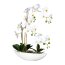 Kunstpflanze Phalenopsis (Orchidee), Farbe weiß, inkl. Keramik-Schale, Höhe ca. 60 cm