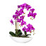 Kunstpflanze Phalenopsis (Orchidee), Farbe lila, inkl. Keramik-Schale, Höhe ca. 60 cm