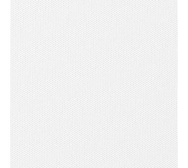 LIEDECO Seitenzugrollo Uni-Tageslicht 092 x 240 cm Fb. weiß