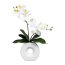 Kunstpflanze Phalenopsis (Orchidee), Farbe weiß, inkl. weißer Keramik-Vase, Höhe ca. 35 cm