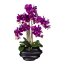Kunstpflanze Phalenopsis (Orchidee), Farbe lila, inkl. schwarzer Kunststoff-Vase, Höhe ca. 75 cm